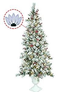 best christmas tree