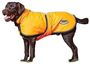 best dog raincoats