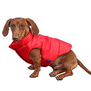 best dog rain coat