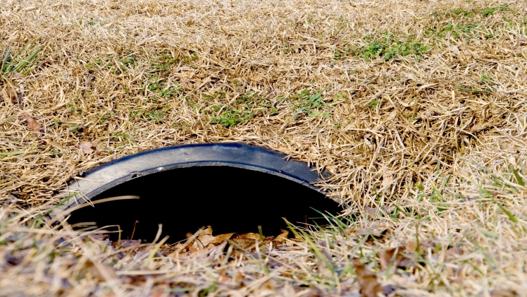 The 5 Warning Signs of a Collapsed Drain