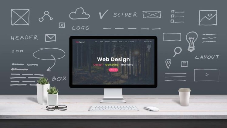 A comprehensive guide to web design packages